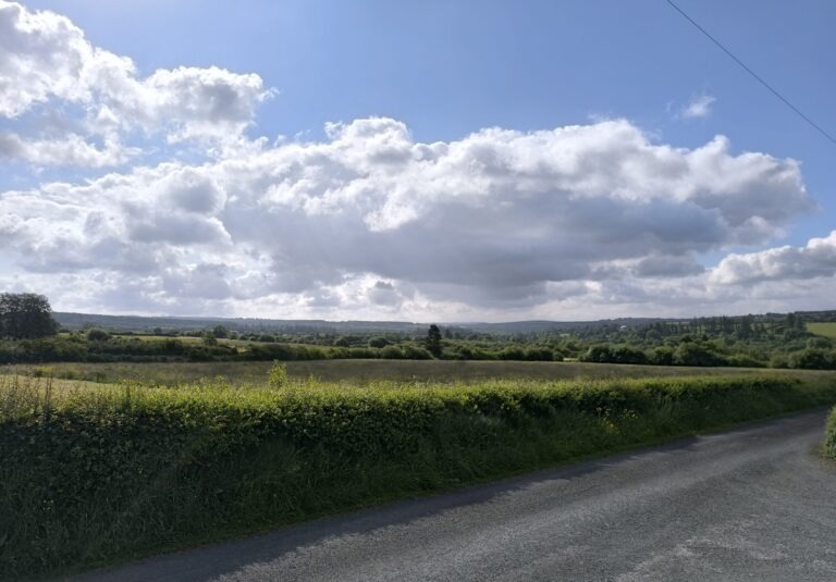 Celebrating One Year of Flexitime: A Journey of pain and pleasure 5 Celebrating One Year of Flexitime